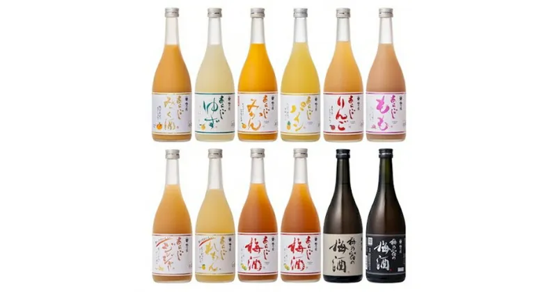 【ふるさと納税】あらごしシリーズと梅酒720ml 12本 セット ／ 梅乃宿酒造 お酒 リキュール ギフト 人気 メーカー直送 みっく酒 ゆず みかん パイン れもん もも りんご ジンジャー 奈良県 葛城市