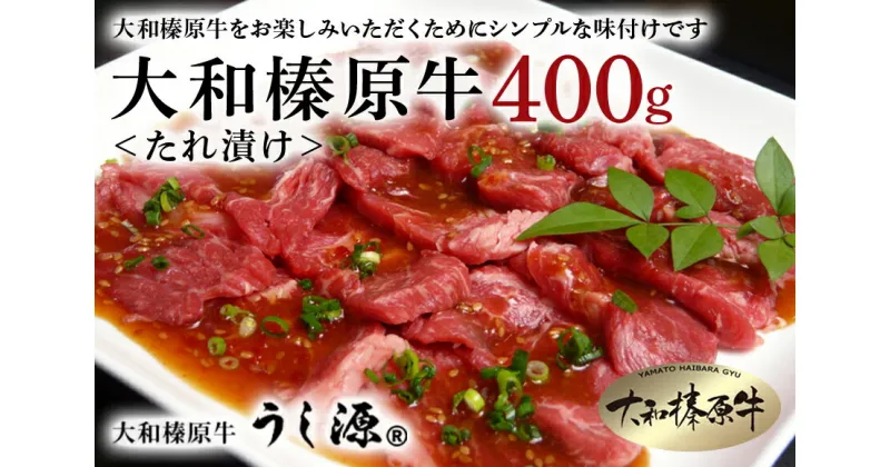 【ふるさと納税】(冷凍)大和榛原牛 たれ漬け400g / うし源 黒毛和牛 A5 焼肉 キャンプ BBQ アウトドア 父の日 母の日 お中元 暑中見舞い お土産 ふるさと納税 味付き 内祝い 薄切り 小分け 盛り合わせ まとめ買い 焼肉 美味しい部位 キャンプ 送料無料