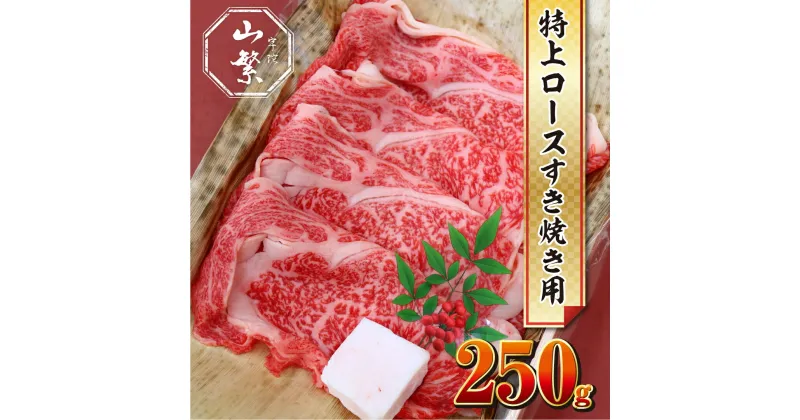 【ふるさと納税】名産 認定肉 宇陀牛 国産 黒毛和牛 特上 ロース すき焼き 約250g チルド / 宇陀 山繁 ふるさと納税 牛肉 人気 ギフト 寄付 ランキング おすすめ グルメ 肉 返礼品 商品 送料無料 送料込