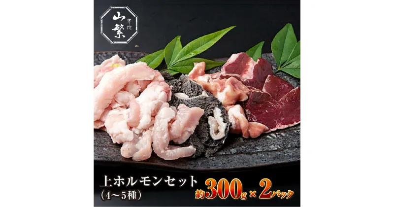 【ふるさと納税】特産 認定肉 宇陀牛 国産 黒毛和牛 希少 上ホルモン 4~5種 約300g×2 / 宇陀 山繁 ふるさと納税 牛肉 焼肉 レア 人気 BBQ ランキング おすすめ グルメ 肉 返礼品 商品 送料無料