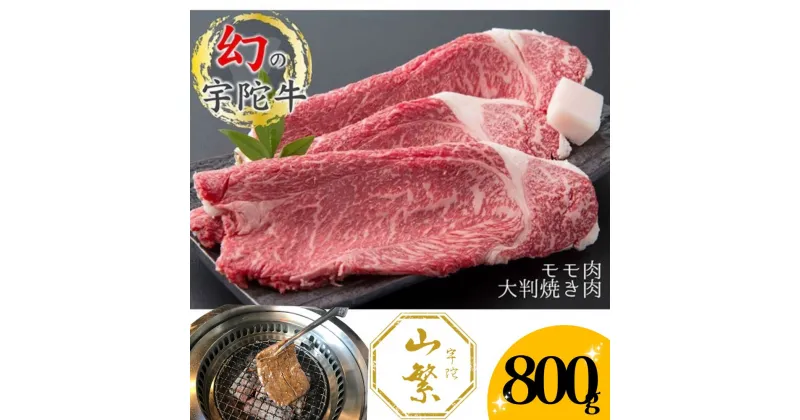 【ふるさと納税】特産 認定肉 宇陀牛 国産 黒毛和牛 もも 大判 焼肉 約800g チルド / 宇陀 山繁 ふるさと納税 牛肉 レア 人気 BBQ キャンプ 寄付 ランキング おすすめ グルメ 肉 返礼品 送料無料