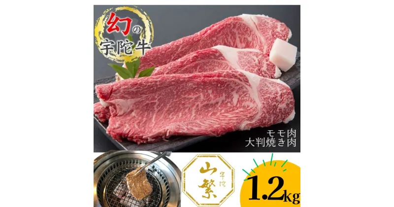 【ふるさと納税】特産 認定肉 宇陀牛 国産 黒毛和牛 もも 大判 焼肉 約1.2kg チルド / 宇陀 山繁 ふるさと納税 牛肉 レア 人気 BBQ キャンプ 寄付 ランキング おすすめ グルメ 肉 返礼品 送料無料