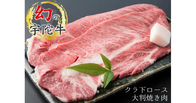 【ふるさと納税】特産 認定肉 宇陀牛 クラシタ ロース 大判 焼肉 約600g 国産 黒毛和牛 チルド / 山繁 ふるさと納税 牛肉 レア 人気 肉マニア 寄付 ランキング おすすめ グルメ 肉 返礼品 送料無料