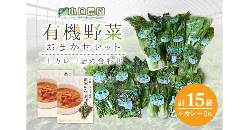 【ふるさと納税】（チルド）山口農園　有機野菜　おまかせセット ＋ カレー2箱　詰合せ / 山口農園 有機野菜 伝統野菜 オーガニック ベジタリアン 定期便 カレー 無農薬 野菜セット 送料無料 無農薬 農家直送 ふるさと納税 詰め合わせ 奈良県 宇陀市