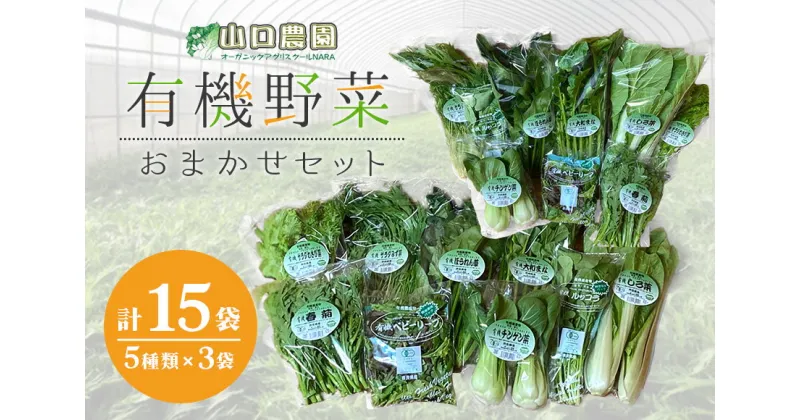 【ふるさと納税】（チルド）　山口農園　有機野菜　おまかせセット ／山口農園 有機野菜 伝統野菜 オーガニック ベジタリアン 無農薬 野菜セット 送料無料 無農薬 農家直送 ふるさと納税 詰め合わせ 奈良県 宇陀市