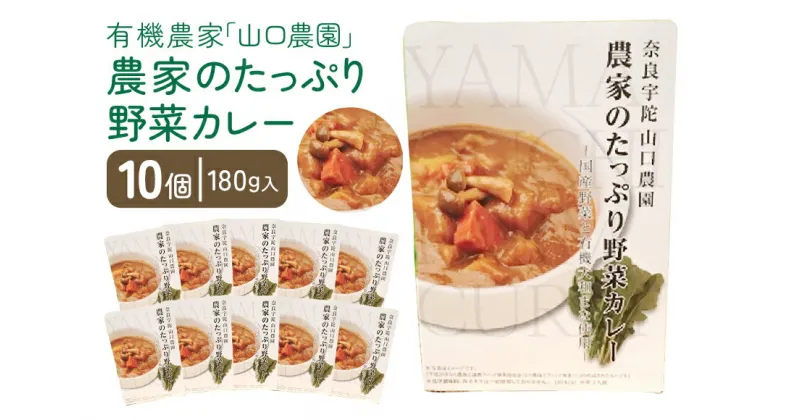 【ふるさと納税】農家のたっぷり野菜カレー　10個／山口農園 有機野菜 オーガニック 伝統野菜 レトルト 詰め合わせ カレー ギフト カレーセット スパイス 飯 キャンプお取り寄せ 奈良県 宇陀市 送料無料 おかず ご当地 簡単 お歳暮 暑中見舞い 保存 時短 国産 保存食