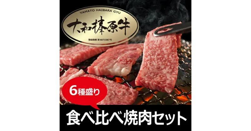 【ふるさと納税】(冷凍)　大和榛原牛　焼肉　6種盛り／うし源本店　牛肉　黒毛和牛　A5　キャンプ　奈良県　特産　ロース　カルビ　モモ　ミスジ　ウデ　イチボ お中元 暑中見舞い お土産 内祝い盛り合わせ まとめ買い 切り落とし すき焼き 焼肉 美味しい部位 送料無料