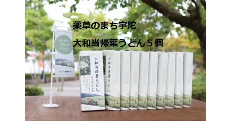 【ふるさと納税】薬草のまち宇陀　大和当帰葉うどん 5個／薬草　大和当帰葉　うどん　2食分　5個　奈良県　宇陀市