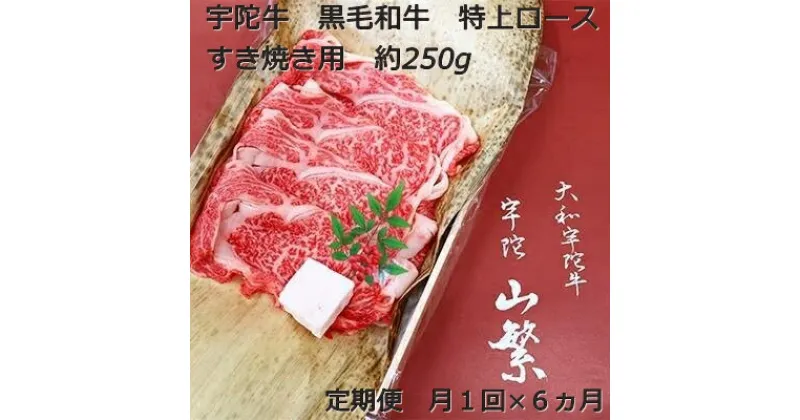 【ふるさと納税】毎月定期便全6回 名産 認定肉 宇陀牛 国産 黒毛和牛 特上 ロース すき焼き 約250g / 山繁 ふるさと納税 牛肉 牛丼 しゃぶしゃぶ人気 寄付 ランキング おすすめ グルメ 肉 返礼品 送料無料