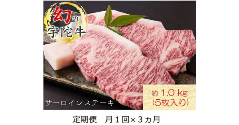 【ふるさと納税】毎月定期便全3回 名産 認定肉 宇陀牛 国産 黒毛和牛 サーロイン ステーキ 5枚 計1kg / 山繁 ふるさと納税 牛肉 牛丼 しゃぶしゃぶ 人気 寄付 ランキング おすすめ グルメ 肉 返礼品 送料無料