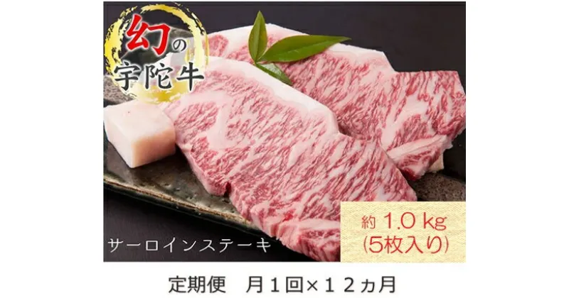 【ふるさと納税】毎月定期便全12回 名産 認定肉 宇陀牛 国産 黒毛和牛 サーロイン ステーキ 5枚 計1kg / 山繁 ふるさと納税 牛肉 牛丼 しゃぶしゃぶ 人気 寄付 ランキング おすすめ グルメ 肉 返礼品 送料無料