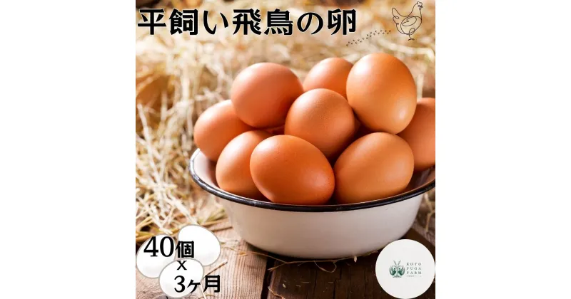 【ふるさと納税】定期便 3ヶ月 美味しい 平飼い 飛鳥の卵 40個 冷蔵 月1回 ／ 古都 風雅 ファーム ふるさと納税 たまご 玉子 鶏 卵 取り寄せ 新鮮 生食 安心 安全 健康卵 飛鳥 チルド 奈良県 宇陀市