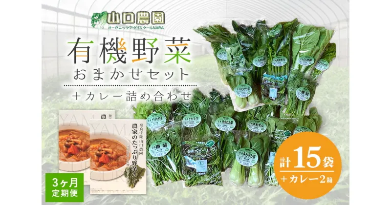 【ふるさと納税】定期便 3ヶ月 山口農園 有機野菜 おまかせセット＋カレー2箱 詰合せ 冷蔵 月1回 ／山口農園 有機野菜 伝統野菜 オーガニック ベジタリアン 定期便 カレー 無農薬 野菜セット 送料無料 無農薬 農家直送 ふるさと納税 詰め合わせ 奈良県 宇陀市