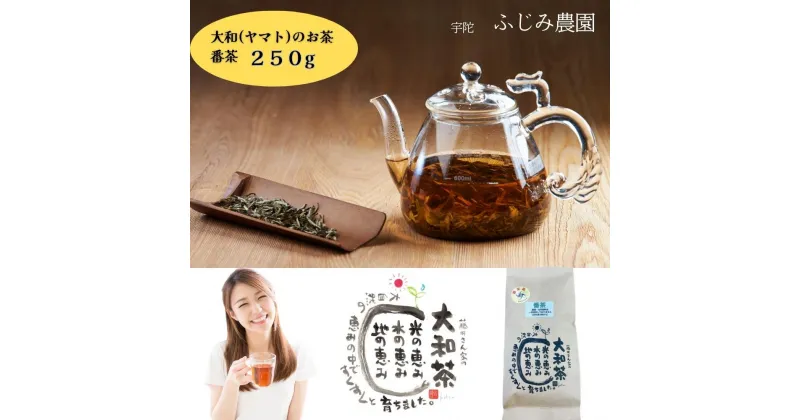 【ふるさと納税】大和(ヤマト)のお茶 番茶 250g ／ ふじみ農園 荒茶 無農薬 無化学肥料 奈良県 宇陀市 大和高原