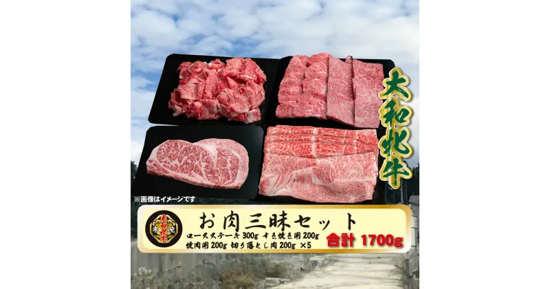 【ふるさと納税】(冷凍) 大和牝牛 お肉 三昧 セット 1700g YMLS5 ／ 太田家 焼肉 バーベキュー アウトドア キャンプ お中元 お歳暮 父の日 奈良県 宇陀市 お中元 贈答用 贈り物 暑中見舞い お土産 お歳暮 内祝い 美味しい部位 送料無料