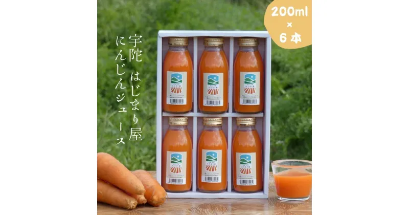 【ふるさと納税】有機人参100％使用　にんじんジュース200ml×6本ギフト/贈り物　にんじん　奈良　宇陀市　有機　母の日　父の日