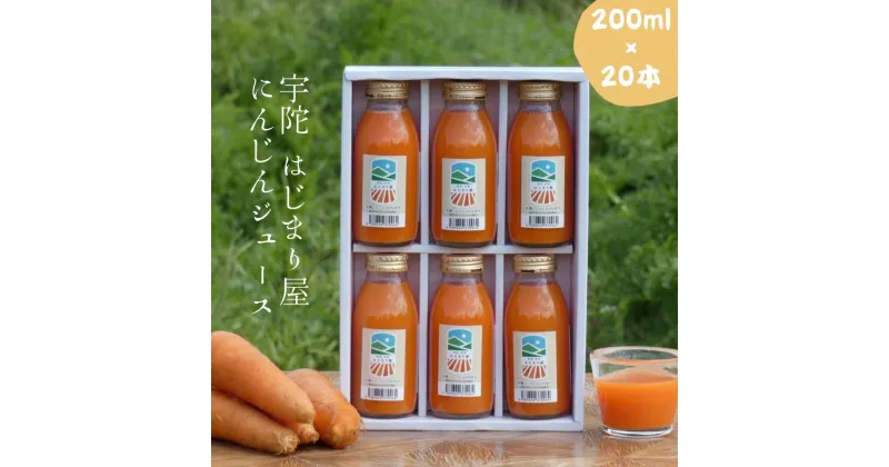 【ふるさと納税】有機人参100％使用　にんじんジュース200ml×20本 / 贈り物　にんじん　奈良　宇陀市　有機　母の日　父の日