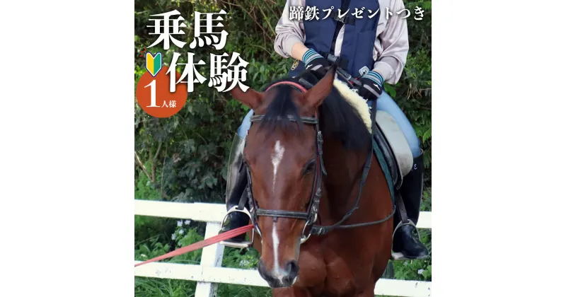 【ふるさと納税】体験乗馬 お1人様用 (蹄鉄プレゼントつき) | 馬 乗馬 体幹トレーニング ふれあい 奈良県 平群町