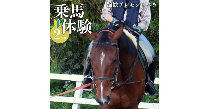 【ふるさと納税】体験乗馬 お2人様用 (蹄鉄プレゼントつき) | 馬 乗馬 体幹トレーニング ふれあい 奈良県 平群町