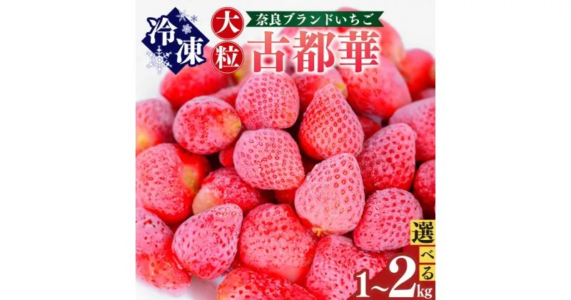 【ふるさと納税】 平群の古都華 冷凍いちご （ ミックスサイズ ）約 1kg or 約 2kg | フルーツ 果物 くだもの いちご 苺 イチゴ 古都華 ことか 冷凍 アイス ミックス スムージー 製菓 材料 奈良県 平群町 扇田農園