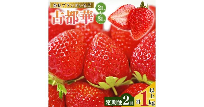 【ふるさと納税】 【 定期便 2回 】いちご 平群の古都華 2L ～ 3L サイズ （ 2パック × 2回 ） 計 4パック | 果物 くだもの フルーツ 苺 イチゴ いちご ストロベリー 古都華 ことか 旬の品種 奈良県 平群町