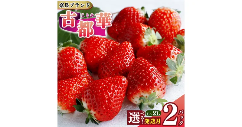 【ふるさと納税】先行予約 いちご 平群の古都華 L～2Lサイズ 計2パック 古都華 阪野農園 | 果物 くだもの フルーツ 苺 イチゴ いちご ストロベリー 古都華 ことか 旬の品種 奈良県 平群町