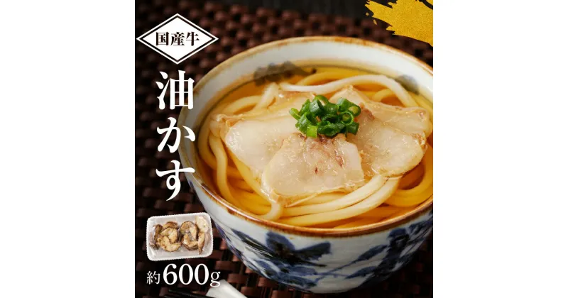 【ふるさと納税】 自家製 国産 牛 あぶらかす 600g ホルモン かすうどん お好み焼き たこ焼き チャーハン 餃子 ラーメン おつまみ おすすめ 隠し味 人気 お取り寄せ グルメ 食品 キャンプ 油かす