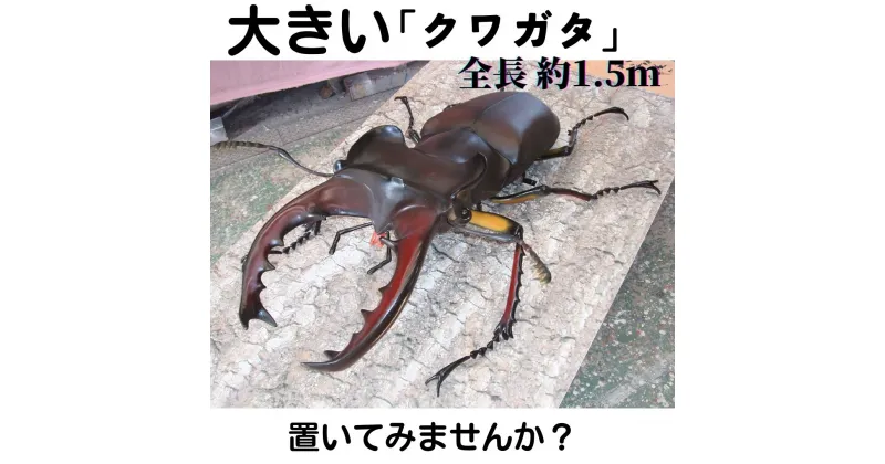 【ふるさと納税】ミヤマ クワガタ 大型 リアル 模型 クワガタ 昆虫 おもちゃ 飾り（透明ケース付）