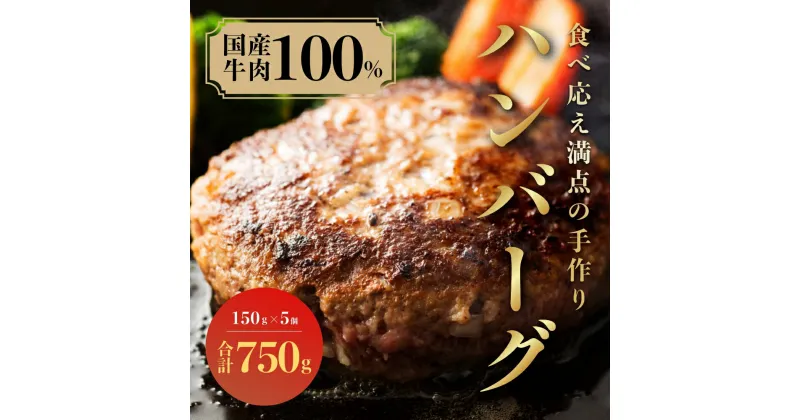 【ふるさと納税】（冷凍） 国産牛肉100％ 食べ応え満点 手作り・手ごね ハンバーグ 750g ／ 歩商事 自家製タレ 贈答用 ギフト 奈良県 田原本町