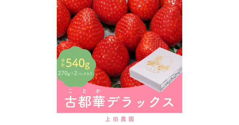 【ふるさと納税】（冷蔵）イチゴ 奈良県産高級ブランド品種「古都華」デラックス（270g×2パック） ／ 上田農園 苺 いちご フルーツ 奈良県 田原本町