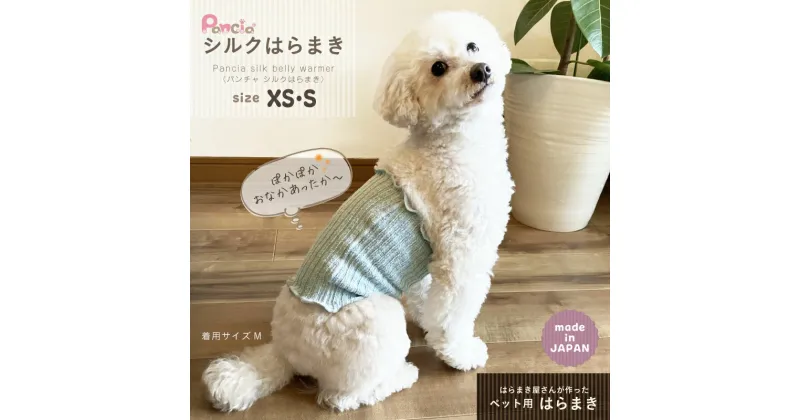 【ふるさと納税】日本製 pancia シルク 腹巻 XSサイズ 選べるカラー 犬用 ／ まちづくり観光振興機構 ドッグウェア ペット服 ペット腹巻 冷え防止 ドッグシャツ 奈良県 田原本町