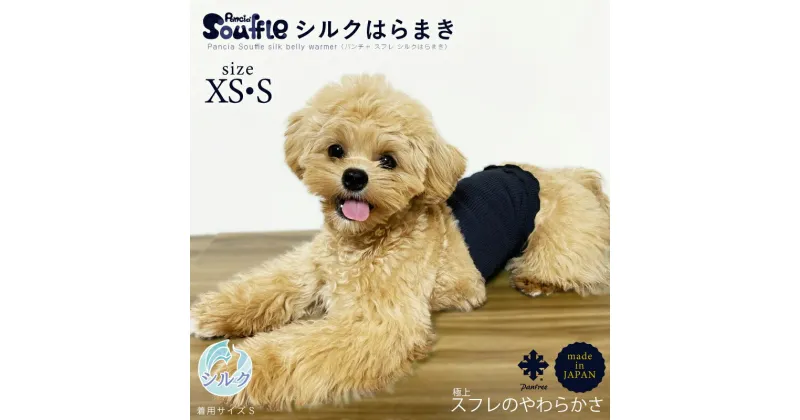 【ふるさと納税】日本製 pancia Souffle シルク 腹巻 XSサイズ 選べるカラー 犬用 ／ まちづくり観光振興機構 ドッグウェア ペット服 ペット腹巻 ドッグシャツ 奈良県 田原本町