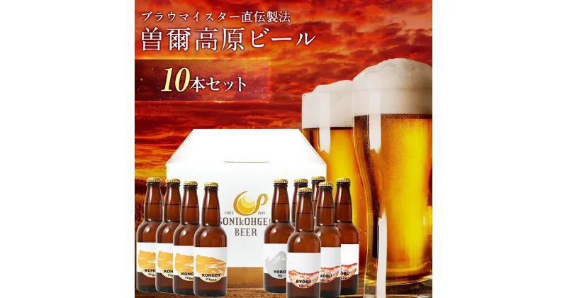 【ふるさと納税】名水を使った曽爾高原ビール 10本セット ビール 酒 お酒 地ビール クラフトビール 地酒 アルコール セット 飲み物 飲み比べ 詰め合わせ 奈良県 奈良 送料無料 応援 ビール・洋酒 ひんやり BBQ キャンプ