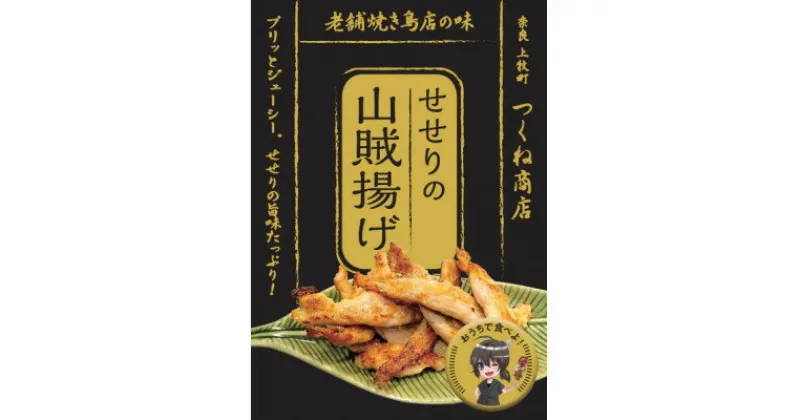 【ふるさと納税】【老舗焼き鳥屋】鶏の希少部位を惜しげなく使用した大ヒットメニュー自信作の詰め合わせ　鶏大好きセット【配送不可地域：離島】【1320586】