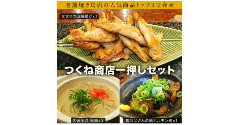 【ふるさと納税】老舗焼き鳥屋のつくね商店一押しセット【配送不可地域：離島】【1410771】