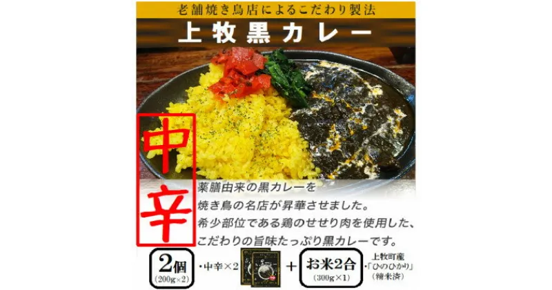 【ふるさと納税】【ご当地カレー】上牧黒カレー(中辛)2個+地元米(ひのひかり)2合をセット【1439531】