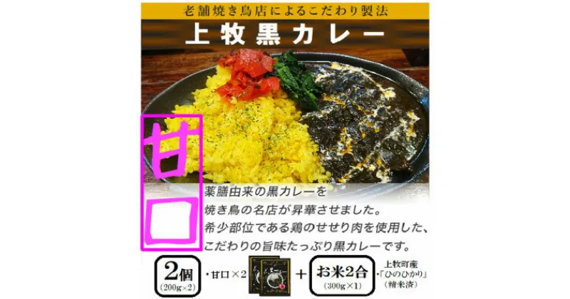 【ふるさと納税】【ご当地カレー】上牧黒カレー(甘口)2個+地元米(ひのひかり)2合をセット【1446983】