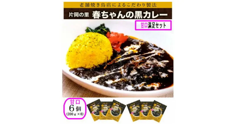 【ふるさと納税】片岡の里春ちゃんの黒カレー　甘口満足セット【1466671】