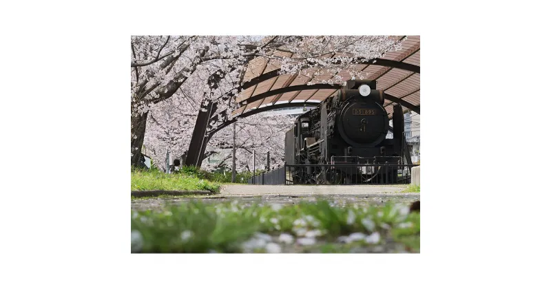 【ふるさと納税】アートパネル　汽車と桜　 織物 フォトグラファー 下村綱起 撮影 風景 動物 写真 厳選 作品 フェルト 生地 オリジナル インテリア プレゼント 癒し