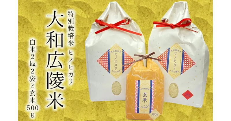 【ふるさと納税】【新米先行受付】【令和6年度産】【10月下旬より順次発送予定】特別栽培米　奈良県広陵町産ヒノヒカリ　白米2kg×2　玄米500gセット///ひのひかり ヒノヒカリ 玄米 特別栽培米 玄米粉 セット 米 お米 仕送り ギフト 贈答 農家 直送 奈良県産 奈良県 広陵町