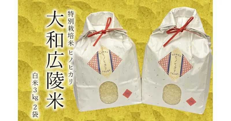 【ふるさと納税】【新米先行受付】【令和6年度産】【10月下旬より順次発送予定】特別栽培米　奈良県広陵町産ヒノヒカリ　白米3kg×2/// ひのひかり ヒノヒカリ 特別栽培米 セット 米 お米 おにぎり おむすぎ ご飯 仕送り ギフト 贈答 農家 直送 奈良県産 奈良県 広陵町