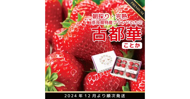 【ふるさと納税】【数量限定】【12月より順次発送】奈良県特産 高級ブランドいちご「古都華」 // いちご イチゴ 古都華 フルーツ 果物 旬 限定 ブランド