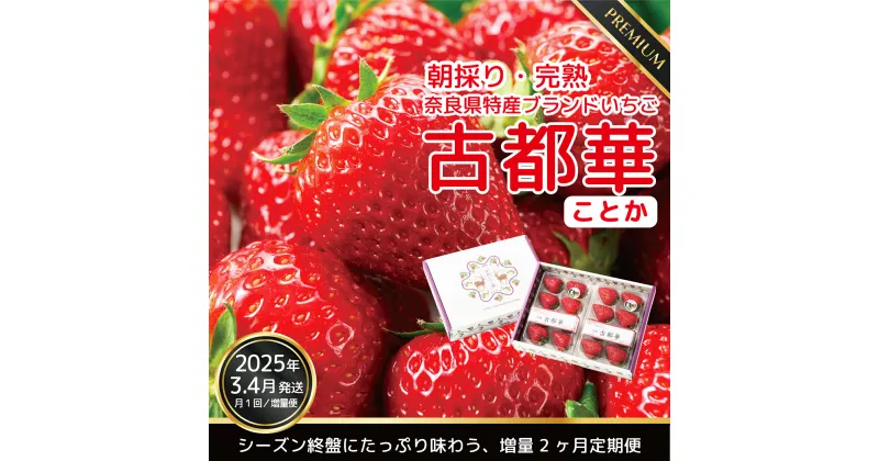 【ふるさと納税】【3・4月増量発送】奈良県特産 高級ブランドいちご「古都華」旬の2ヶ月定期便 4パック×2ヶ月// いちご イチゴ 古都華 フルーツ 果物 旬 限定 ブランド 定期便