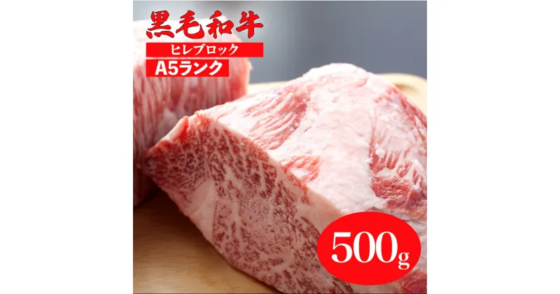 【ふるさと納税】黒毛和牛 A5ランク ヒレ ブロック 500g (ステーキ用ソース・スパイス付) 国産 牛肉 和牛 焼肉 焼き肉 バーベキュー 赤身 霜降り A5 A5等級 高級肉 高級 柔らかい ステーキ フィレ チルド 牛ヒレ ステーキ用肉 ヒレ肉 カット 奈良 ランキング おすすめ 人気