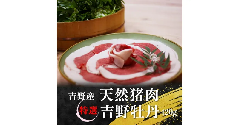 【ふるさと納税】《先行予約》吉野産　天然猪肉　特選吉野牡丹420g