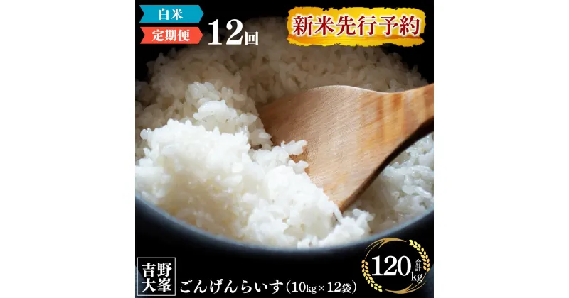 【ふるさと納税】新米予約 奈良のお米のお届け便　10kg×1年分 （計12回） 白米 精米 米 ライス 計 120kg 大容量 奈良 吉野町 ごんげんらいす お米 120キロ ひのひかり 令和6年産 先行予約