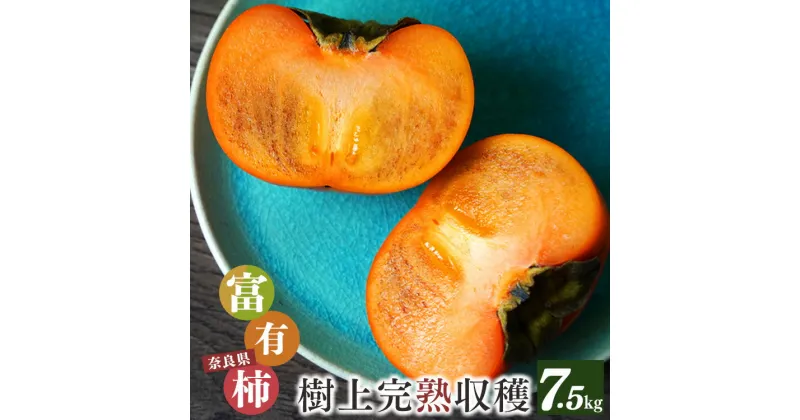 【ふるさと納税】奈良県産 吉野 富有柿 7.5kg （24〜28個入り） M箱 | 果物 くだもの フルーツ 柿 かき 期間限定 産地直送 奈良県 大淀町 メディアで紹介