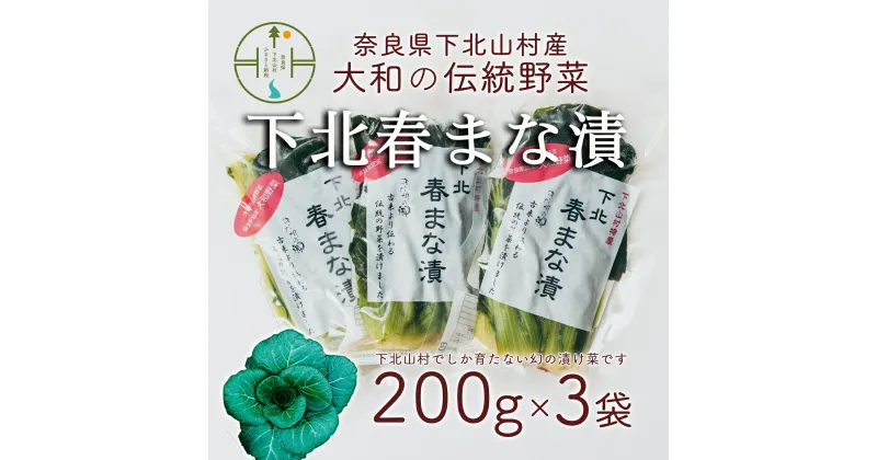 【ふるさと納税】【大和伝統野菜】下北春まな漬け3袋　下北山村でしか採れない葉物野菜の漬物です