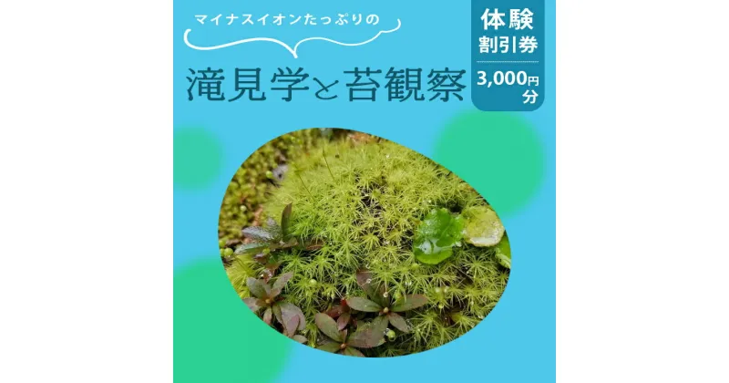 【ふるさと納税】「マイナスイオンたっぷりの滝見学と苔観察」体験割引券（3,000円分） | マイナスイオン 滝 たき タキ 苔 こけ コケ 観察 自然 奈良県 上北山村