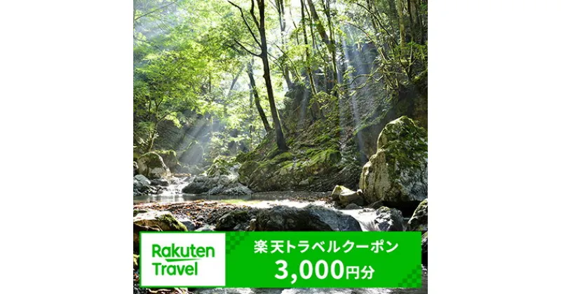 【ふるさと納税】奈良県川上村の対象施設で使える楽天トラベルクーポン　寄付額10,000円（クーポン額3,000円）